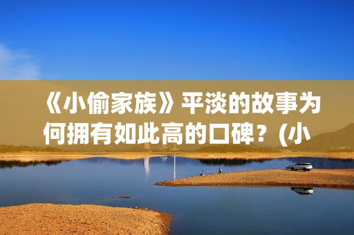 《小偷家族》平淡的故事为何拥有如此高的口碑？(小偷家族讲的是啥)