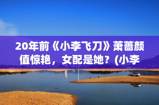20年前《小李飞刀》萧蔷颜值惊艳，女配是她？(小李飞酒)