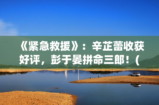 《紧急救援》：辛芷蕾收获好评，彭于晏拼命三郎！(紧急救援协助异常 宝马)