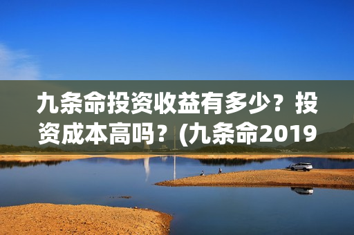 九条命投资收益有多少？投资成本高吗？(九条命2019)