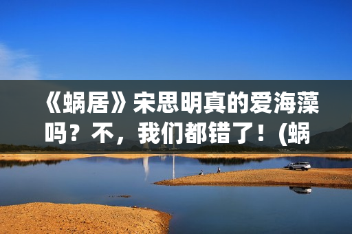 《蜗居》宋思明真的爱海藻吗？不，我们都错了！(蜗居宋思明和海藻亲热是在哪一集)