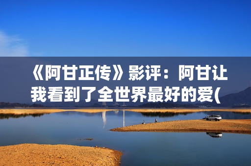 《阿甘正传》影评：阿甘让我看到了全世界最好的爱(阿甘正传影评英语)