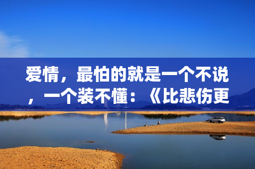 爱情，最怕的就是一个不说，一个装不懂：《比悲伤更悲伤的故事》(感情中最怕的就是)