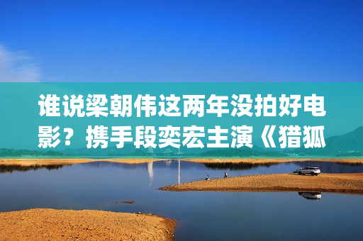 谁说梁朝伟这两年没拍好电影?携手段奕宏主演《猎狐行动》(梁朝伟如何评价) 谁说梁朝伟这两年没拍好电影?携手段奕宏主演《猎狐行动》(梁朝伟如何评价)