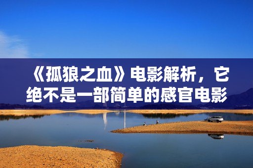 《孤狼之血》电影解析，它绝不是一部简单的感官电影