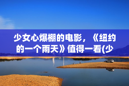 少女心爆棚的电影，《纽约的一个雨天》值得一看(少女心爆棚的电脑壁纸)