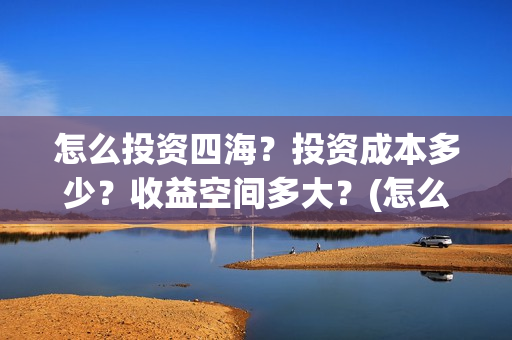 怎么投资四海？投资成本多少？收益空间多大？(怎么投资四海集团公司)