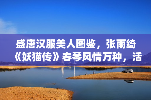 盛唐汉服美人图鉴，张雨绮《妖猫传》春琴风情万种，活色生香(盛唐时期汉服)