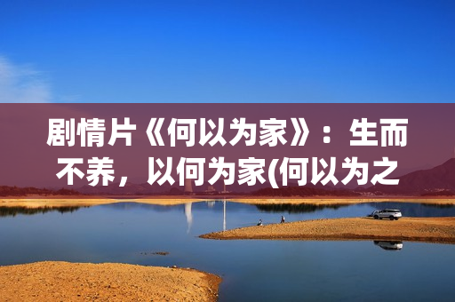 剧情片《何以为家》：生而不养，以何为家(何以为之)