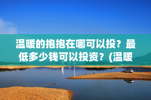 温暖的抱抱在哪可以投？最低多少钱可以投资？(温暖的抱抱是什么剧情)