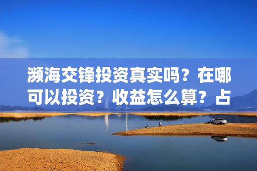 濒海交锋投资真实吗？在哪可以投资？收益怎么算？占比？(濒海交锋电影投资可靠吗)