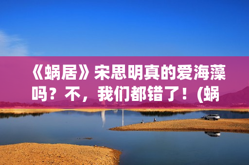 《蜗居》宋思明真的爱海藻吗？不，我们都错了！(蜗居宋思明最后出车祸时说了些什么)