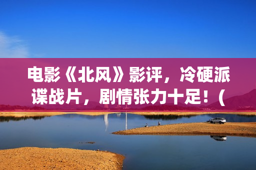 电影《北风》影评，冷硬派谍战片，剧情张力十足！(北风 电影)