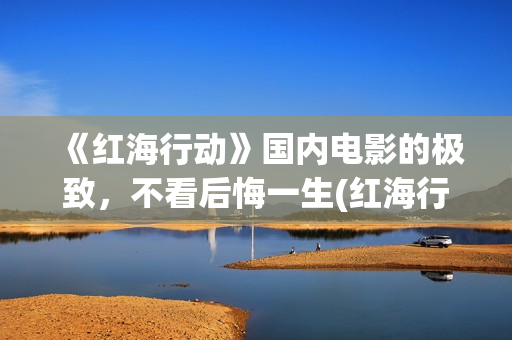 《红海行动》国内电影的极致，不看后悔一生(红海行动svd)