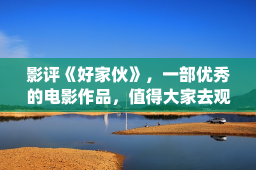 影评《好家伙》，一部优秀的电影作品，值得大家去观看！(好家伙影评全面解析)