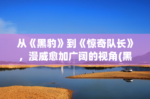 从《黑豹》到《惊奇队长》，漫威愈加广阔的视角(黑豹 体会)