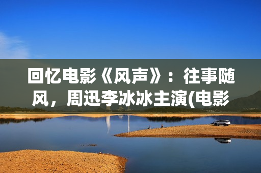 回忆电影《风声》：往事随风，周迅李冰冰主演(电影《风声》内容)