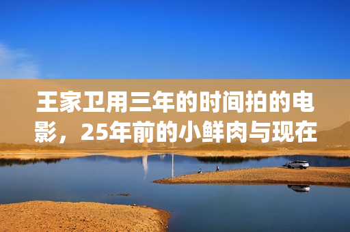 王家卫用三年的时间拍的电影，25年前的小鲜肉与现在有何不同？(王家卫成名作)