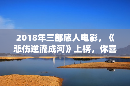 2018年三部感人电影，《悲伤逆流成河》上榜，你喜欢哪一部？(2018年最感人的20部电影推荐)