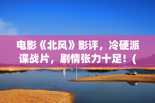 电影《北风》影评，冷硬派谍战片，剧情张力十足！(北风电影下载)