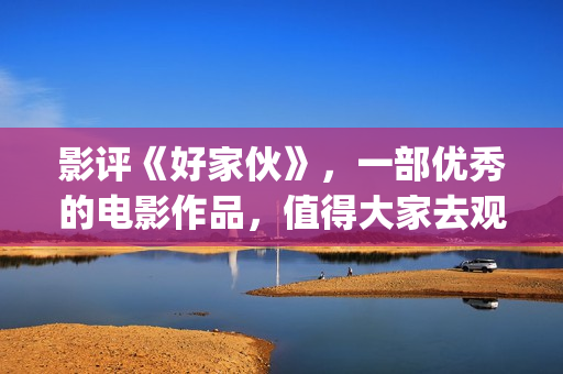 影评《好家伙》，一部优秀的电影作品，值得大家去观看！(电影《好家伙》)