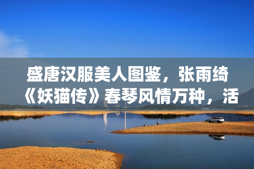 盛唐汉服美人图鉴，张雨绮《妖猫传》春琴风情万种，活色生香(盛唐服饰女)