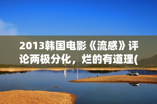 2013韩国电影《流感》评论两极分化，烂的有道理(电影韩国2010)