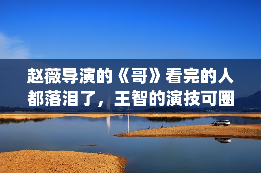 赵薇导演的《哥》看完的人都落泪了，王智的演技可圈可点！(哥赵薇作品)