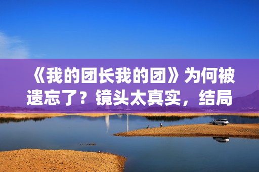《我的团长我的团》为何被遗忘了？镜头太真实，结局太虐心(我的团长我的团免费完整版在线观看)