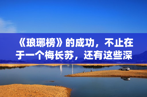 《琅琊榜》的成功，不止在于一个梅长苏，还有这些深入人心的角色(琅琊榜的成就)