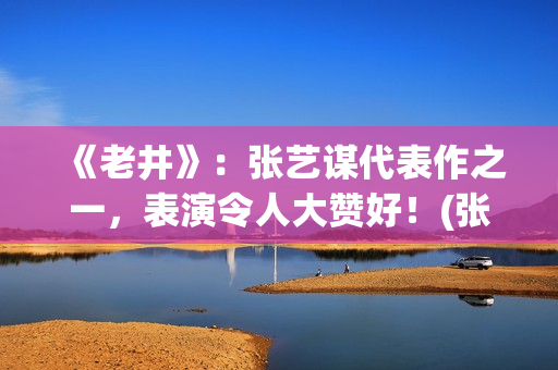 《老井》:张艺谋代表作之一,表演令人大赞好!(张艺谋演老井多大了) 《老井》:张艺谋代表作之一,表演令人大赞好!(张艺谋演老井多大了)