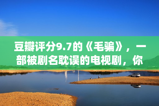 豆瓣评分9.7的《毛骗》，一部被剧名耽误的电视剧，你看过没？(豆瓣评分高达9分以上)