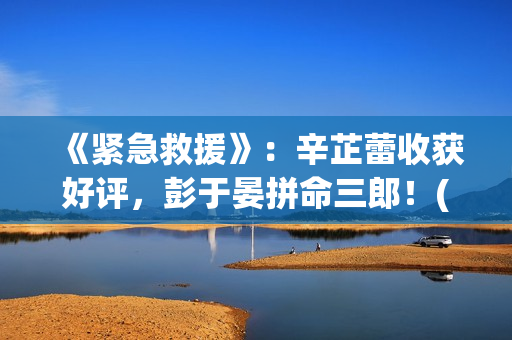 《紧急救援》：辛芷蕾收获好评，彭于晏拼命三郎！(紧急救援第八季)