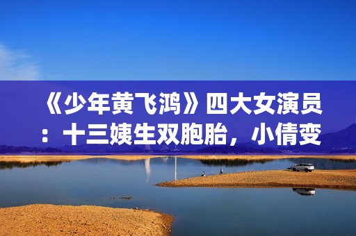 《少年黄飞鸿》四大女演员：十三姨生双胞胎，小倩变美，最红是她(少年黄飞鸿演员表全部)