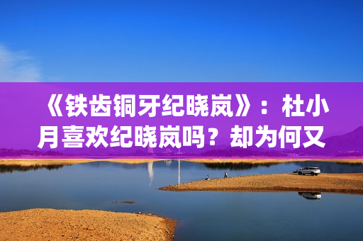 《铁齿铜牙纪晓岚》：杜小月喜欢纪晓岚吗？却为何又两次嫁人？(铁齿铜牙纪晓岚片尾曲)
