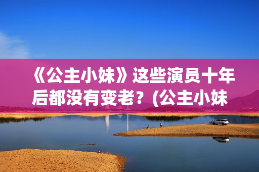 《公主小妹》这些演员十年后都没有变老？(公主小妹07)