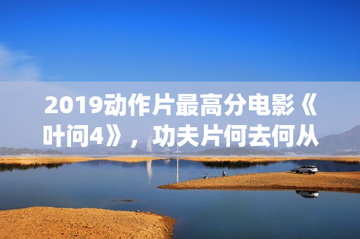 2019动作片最高分电影《叶问4》，功夫片何去何从？(2019年最佳动作片)