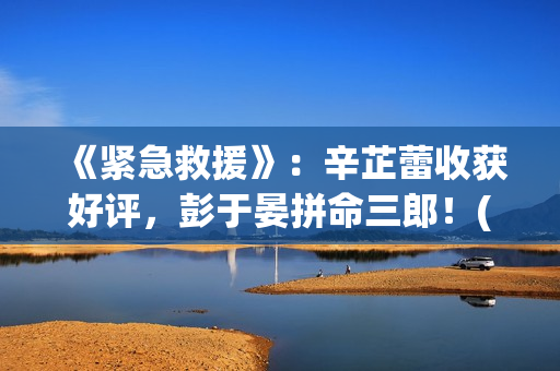 《紧急救援》：辛芷蕾收获好评，彭于晏拼命三郎！(紧急救援第九季)