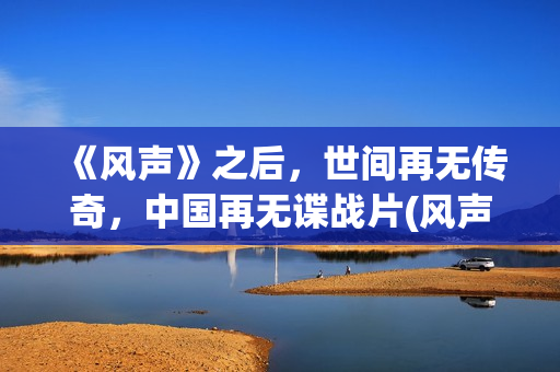 《风声》之后，世间再无传奇，中国再无谍战片(风声结束了吗)