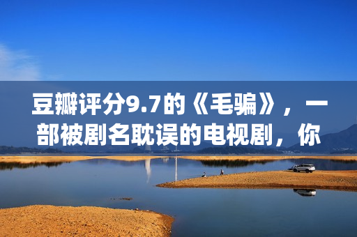 豆瓣评分9.7的《毛骗》，一部被剧名耽误的电视剧，你看过没？(豆瓣评分9.5)