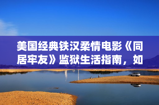 美国经典铁汉柔情电影《同居牢友》监狱生活指南，如何从弱鸡混成领军人物《同居牢友》(有哪些铁汉柔情电影)