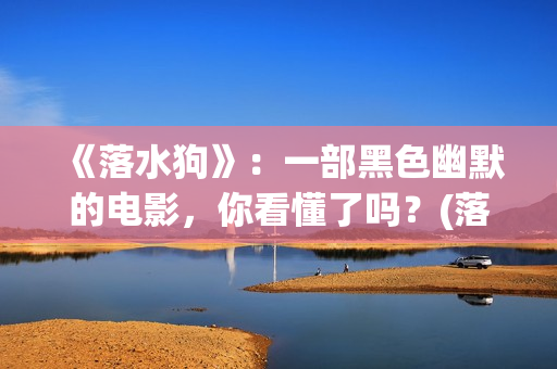 《落水狗》：一部黑色幽默的电影，你看懂了吗？(落水狗终极解读)