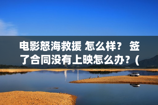 电影怒海救援 怎么样？ 签了合同没有上映怎么办？(电影怒海救援免费播放)