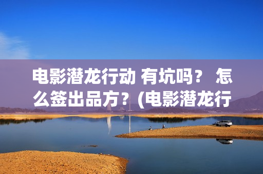 电影潜龙行动 有坑吗？ 怎么签出品方？(电影潜龙行动)