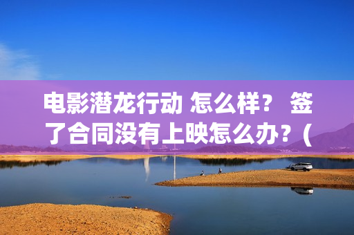 电影潜龙行动 怎么样？ 签了合同没有上映怎么办？(电影潜龙行动)