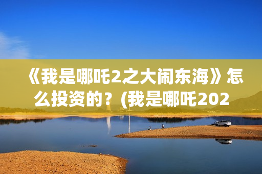 《我是哪吒2之大闹东海》怎么投资的？(我是哪吒2021)