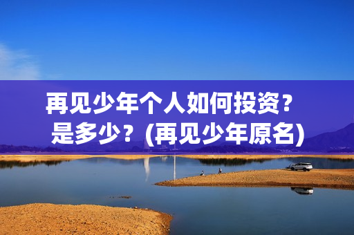 再见少年个人如何投资？ 是多少？(再见少年原名)