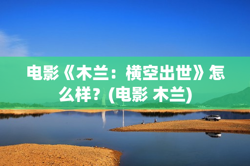 电影《木兰：横空出世》怎么样？(电影 木兰)