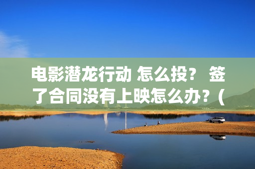 电影潜龙行动 怎么投？ 签了合同没有上映怎么办？(网络大电影潜龙行动123片花)
