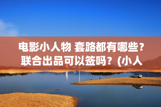 电影小人物 套路都有哪些？ 联合出品可以签吗？(小人物 电影 彩蛋)